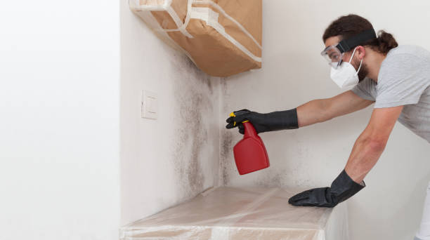 Professional Basement Mold Removal technician working in Rahway, NJ